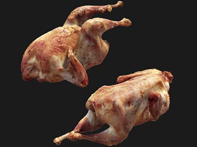 Two Lifelike Reptile Models Displaying Detailed Skin Patterns On Black Surface 3d model