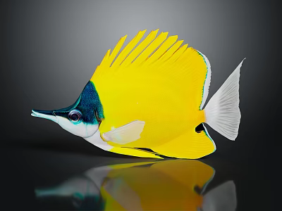 Vibrant Yellow Fish With Blue Head White Tail Fan Like Dorsal Fin And Long Snout 3d model