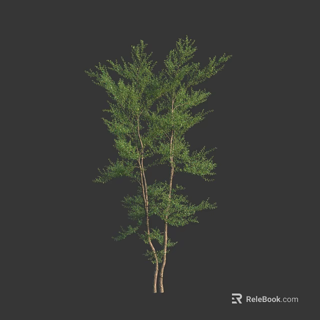 Lush Green Shrub With Multiple Trunks And Healthy Leaf Growth 3d model