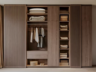 Modern Wooden Wardrobe Interior With Hanging Rods Shelves And Folded Clothes Storage 3d model