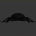 Dark Blue Iridescent Beetle With Detailed Body Structure Legs And Antennae On Grey Gradient Background