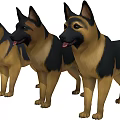Three German Shepherds Standing Together With Alert Expressions And Healthy Coats