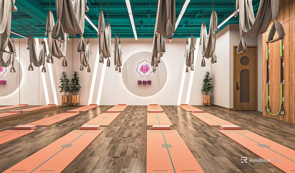 Bright Yoga Studio Interior With Hanging Hammocks Yoga Mats And Plants 3d model 