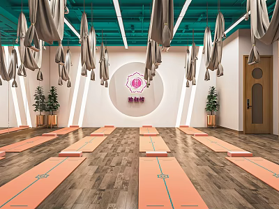 Bright Yoga Studio Interior With Hanging Hammocks Yoga Mats And Plants 3d model