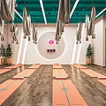 Bright Yoga Studio Interior With Hanging Hammocks Yoga Mats And Plants