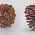 pine cone cartoon pine cone 1 hazelnut hazelnut dried fruit pine nuts 3d model