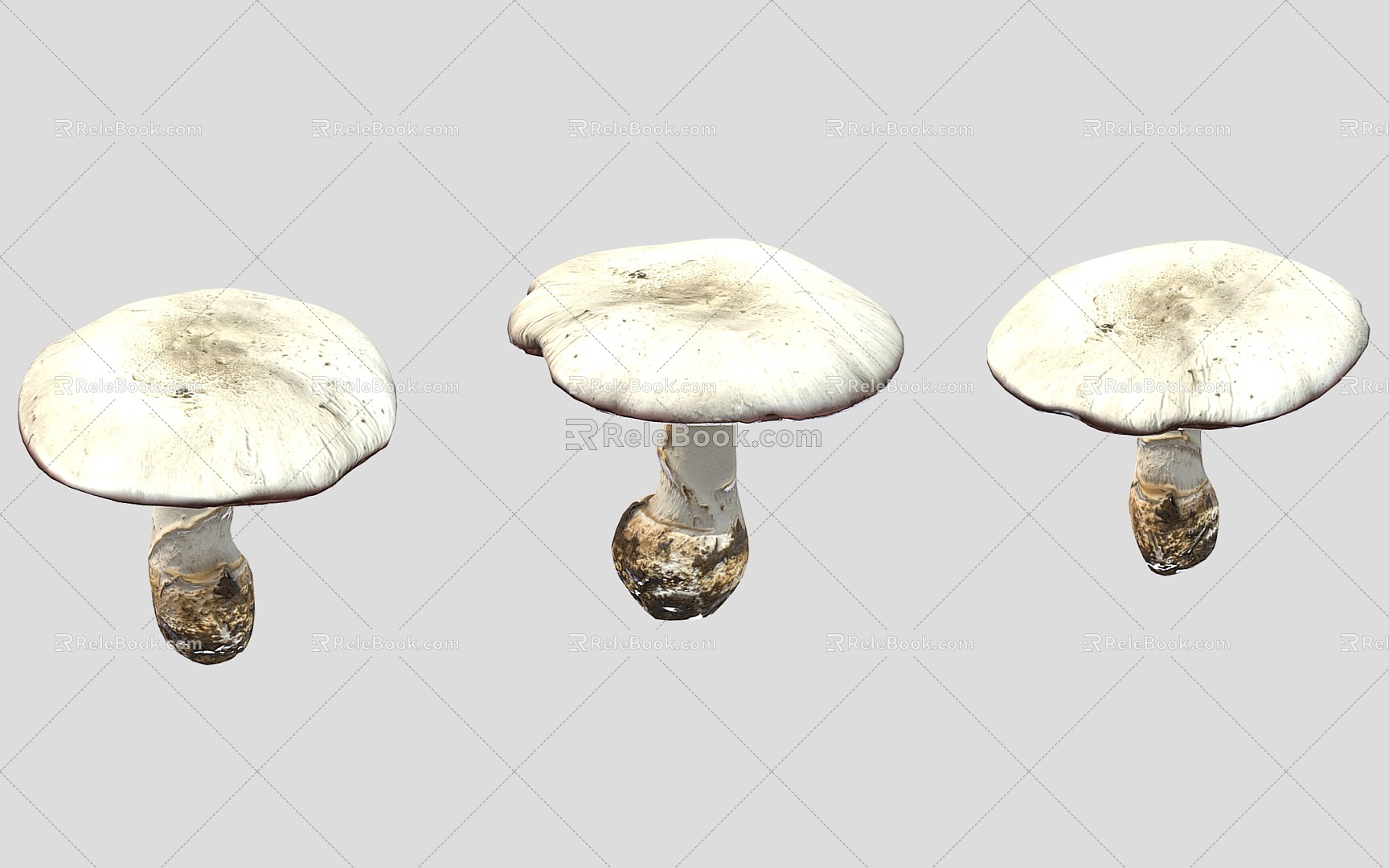 Modern Mushroom Tricholoma matsutake 3d model