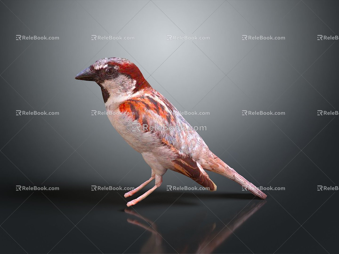 bird bird bird bird game animal cartoon animal animal realistic animal 3d model