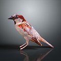 bird bird bird bird game animal cartoon animal animal realistic animal 3d model