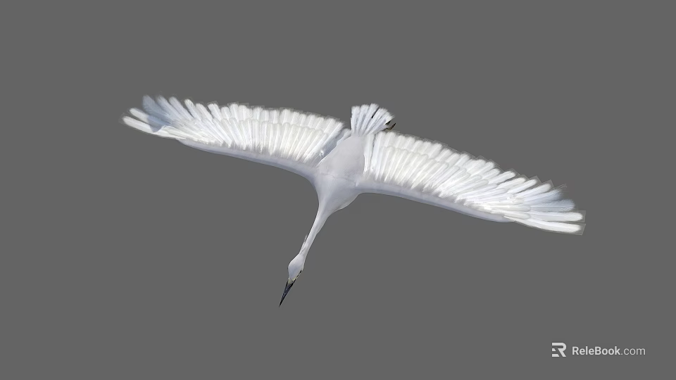 Graceful White Flying Bird with Spread Wings Against Gray Sky 3d model 