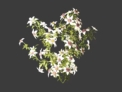 Lush Green Vines With White Flowers And Fresh Leaves On Gray Background 3d model