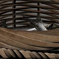 Handwoven Brown Storage Basket With Intricate Woven Texture For Home Use