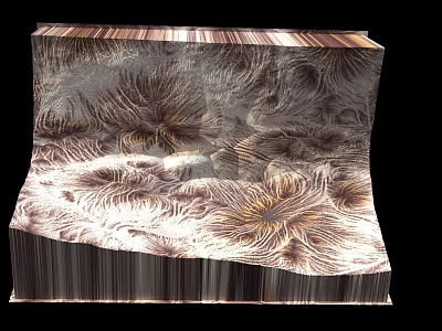 Layered Art Installation With Floral Texture And Metallic Three Dimensional Design 3d model