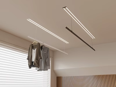 Modern Ceiling Mounted Clothes Rack Hanging Clothes With LED Strip Lighting And Wooden Wall Paneling 3d model