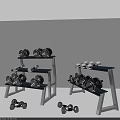 Sports Fitness Equipment Dumbbells With Various Weights On Multi Tiered Racks And Floor