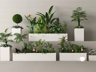 Various Green Plants Ferns Palms And Orange Flowers In White Planters On Different Height Pedestals 3d model
