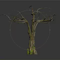 Wooden Tree Trunk With Stone Base And Branch Structure Featuring Small House Design 3d model