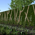 Lush Garden Landscape Design With Natural Vertical Green Wall And Organic Vegetable Planting Space
