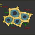 Plant Cell Structure Showing Cell Wall Protoplasm Vacuole And Cytoplasm With Thickened Corners