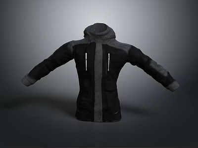 Hooded Jacket with Black and Gray Colorblock Zipper Design Front Pockets Casual Style 3d model