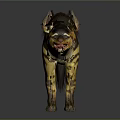 Striped Hyena With Fluffy Brown And Yellow Fur In Fierce Standing Posture