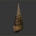 Natural Brown Textured Conical Shell Decorative Ornament For Home Decor Accent