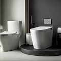 Modern Toilets With Different Design Styles In Bathroom Interior And Accessories