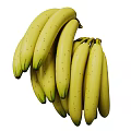 Assorted Fresh Fruits Collection Including Watermelon Banana Apple Grapes And Strawberries