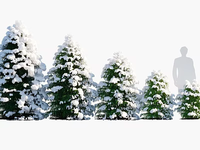 Snow Covered Evergreen Trees in Different Sizes with Human Silhouette for Scale 3d model