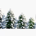 Snow Covered Evergreen Trees in Different Sizes with Human Silhouette for Scale 3d model