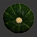 Fresh Green Pumpkin With Striped Surface And Yellow Stem On Dark Background 3d model