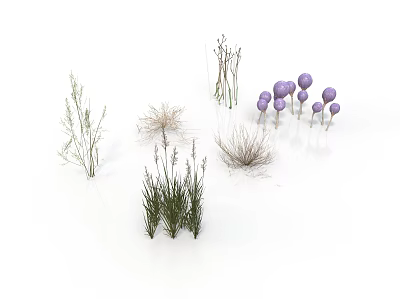 Various Decorative Plants Including Grasses And Purple Spherical Flowers On White Background 3d model
