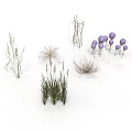 Various Decorative Plants Including Grasses And Purple Spherical Flowers On White Background