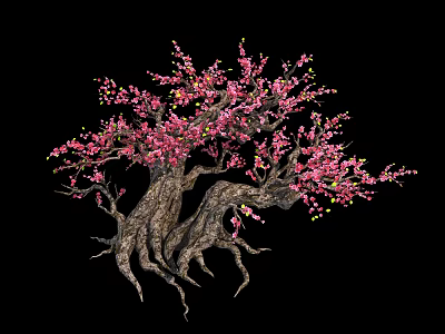 Exquisite Arbor With Pink Blossoms Green Buds Thick Trunk And Exposed Roots 3d model