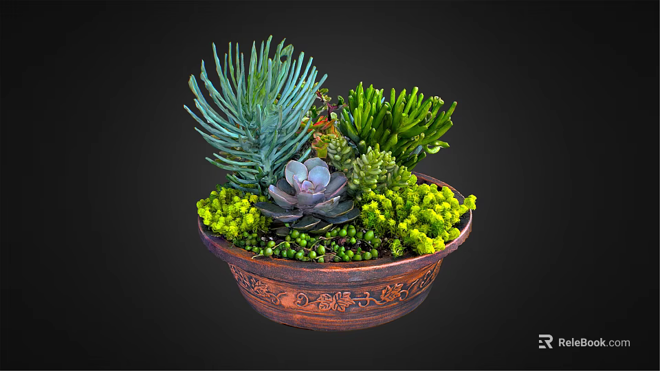 Varied Succulent Plants in Decorative Carved Terracotta Bowl with Spiky Green Rosette and Purple Foliage 3d model 