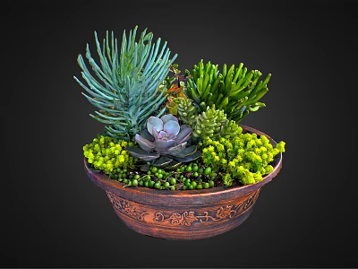 Varied Succulent Plants in Decorative Carved Terracotta Bowl with Spiky Green Rosette and Purple Foliage 3d model