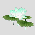 Fresh Light Green And White Lotus Flower With Blooming Petals And Lotus Leaves