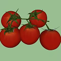 Fresh Red Cherry Tomatoes With Green Vines And Plump Juicy Texture
