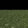 Garden Ornament With Lush Green Grass And Natural Lawn Design