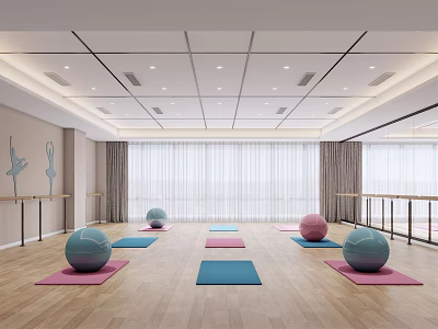 Spacious Fitness Studio With Yoga Mats Balls Wooden Floor And Natural Light 3d model