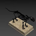 Detailed Animal Skeleton Display Featuring Anatomical Structure On Marble Base 3d model