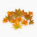 Ground Cover With Colorful Autumn Maple Leaves In Orange Yellow And Brown Tones