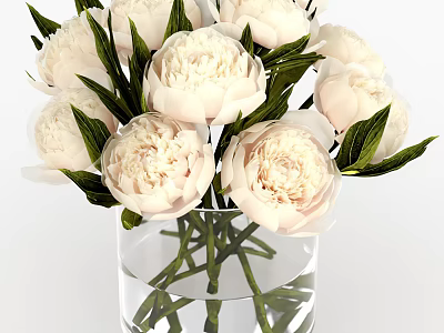 Decorative Transparent Glass Vase With White Peonies And Green Leaves On White Background 3d model