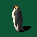 Emperor Penguin With Black And White Feathers And Yellow Neck Patch On Green Background