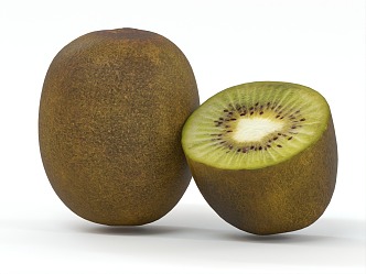 Modern Kiwi 3d model