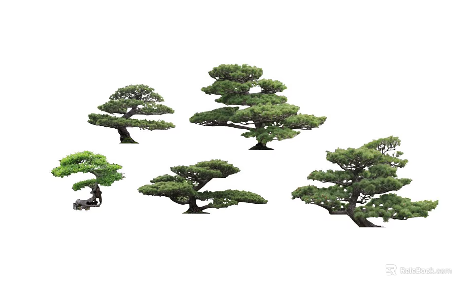 Diverse Arbor Trees Displaying Various Shapes And Lush Green Foliage 3d model 