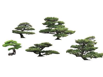 Diverse Arbor Trees Displaying Various Shapes And Lush Green Foliage 3d model