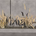 Natural Dried Pampas Flowers And Grass In Rectangular Concrete Planter Against Gray Wall