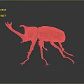Red Beetle With Single Horn On Gray Background Close Up View 3d model