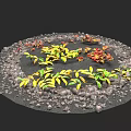 Vibrant Plant Leaves In Circular Area With Small Stones And Black Ground